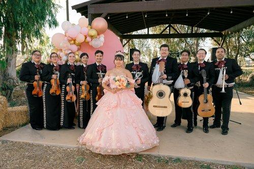 carousel-hero-element image-2